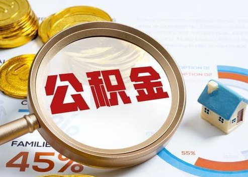 五指山2025年政策调整对个人影响综合解析‌