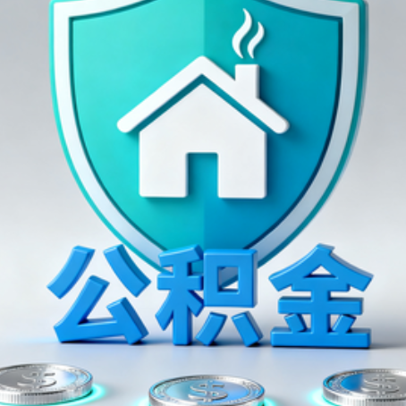 五指山公积金代办行业观察：谁在提供专业服务？
